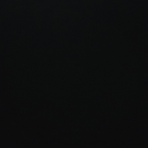 Meet your Posher, Dante - Picture 1 of 1